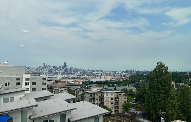 Studio, 1 bath, 318 sqft, $1,495, Unit 703