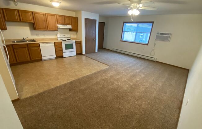 1 Bedroom 1 Bath In Faribault