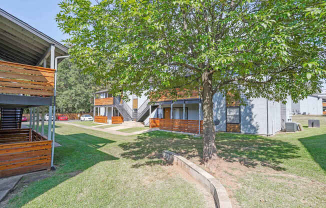 A tree in a grassy area in front of one of our apartment buildings at The Marq apartments in Shreveport, LA