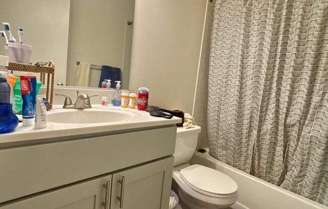 1 bed, 1 bath, 600 sqft, $1,499, Unit 414