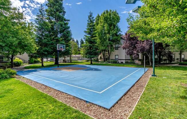 The Commons apartments basketball court