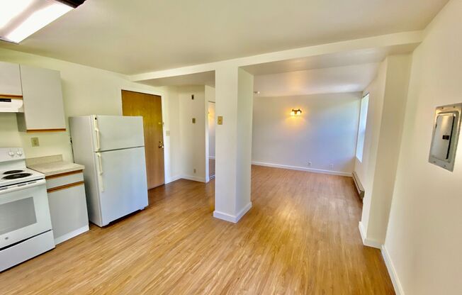 Studio, 1 bath, 413 sqft, $1,295, Unit 310