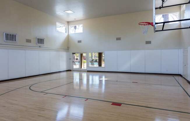 basketball Court