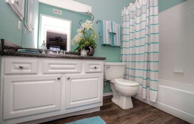 Modern, spacious bathrooms are in all Lincoln Shores apartment homes.