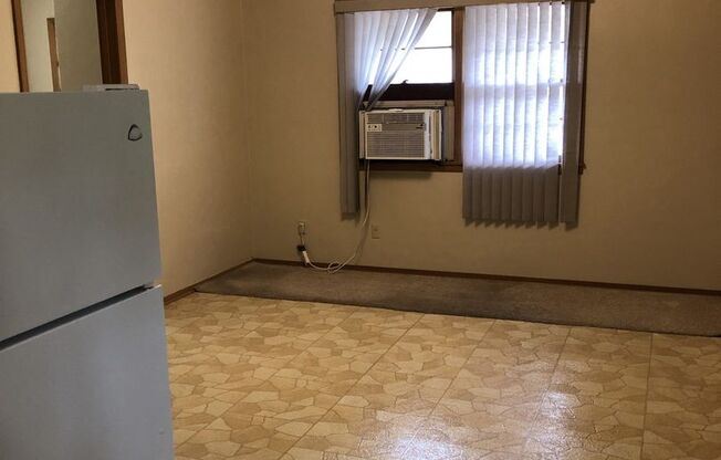 1 Bedroom North Side Iowa City