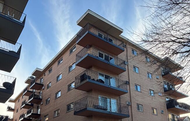 1 Bed One Bath in DOWNTOWN Forest Park!!!