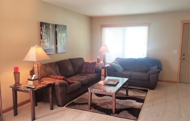 Fully Furnished 2 Bedroom Condo - All utilities, cable and internet provided!