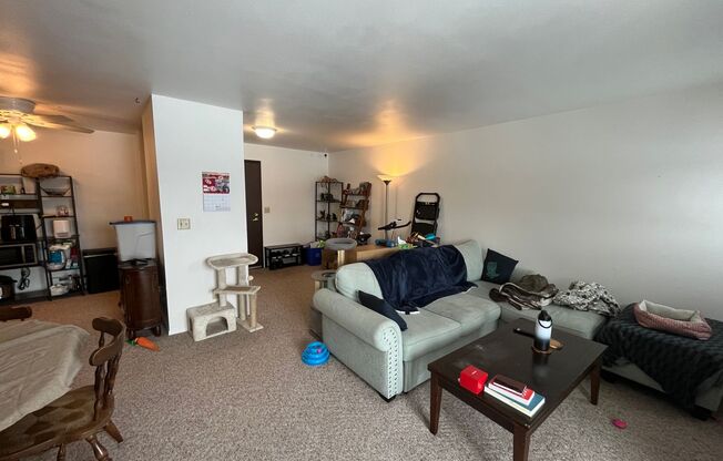 1 bed, 1 bath, $995, Unit 206