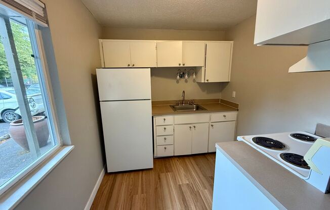 Cathedral Park Apartments- 1 Month Free!