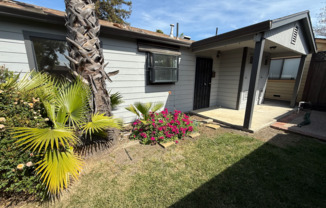 Mitzi Drive 4173