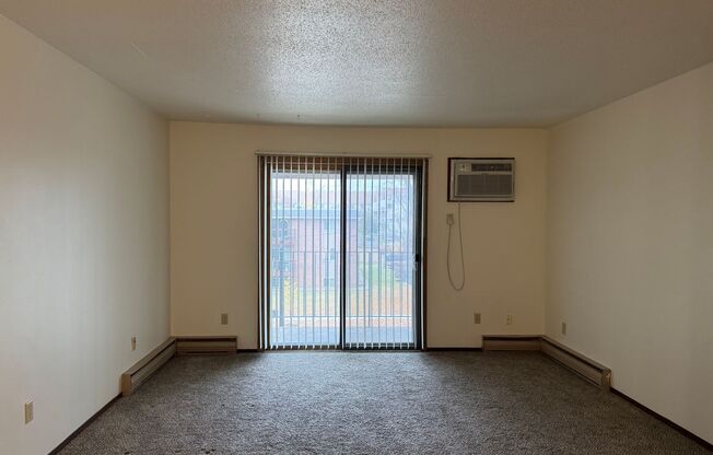 1 bed, 1 bath, 780 sqft, $690, Unit 303