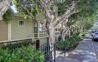 Sunny Potrero Hill 3BR / 1BA Townhome | Private Yard | YouTube Tour