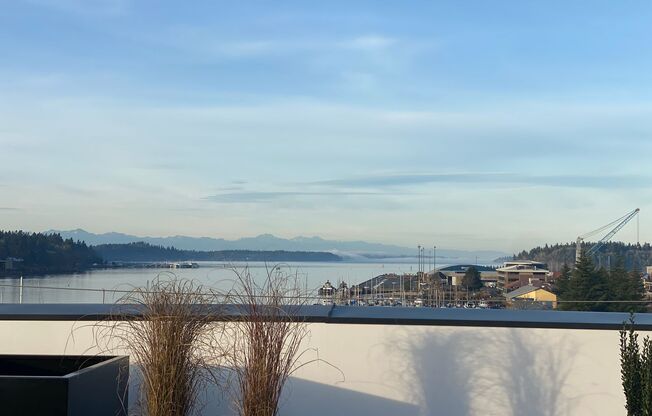 1 bed, 1 bath, 589 sqft, $1,675, Unit 304
