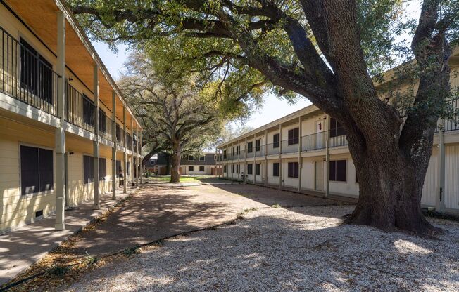3 beds, 2 baths, 1,240 sqft, $1,500, Unit 1011 A