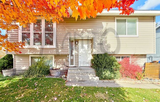 Beautiful South Hill Home