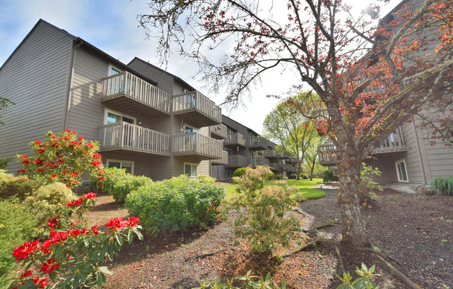 front view of an apartment building with landscaping and trees