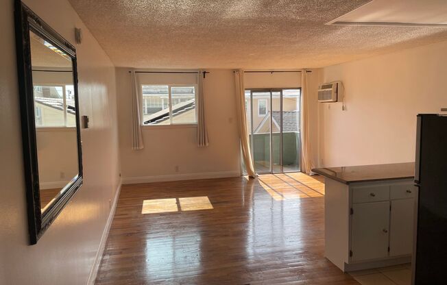 Studio, 1 bath, $1,495