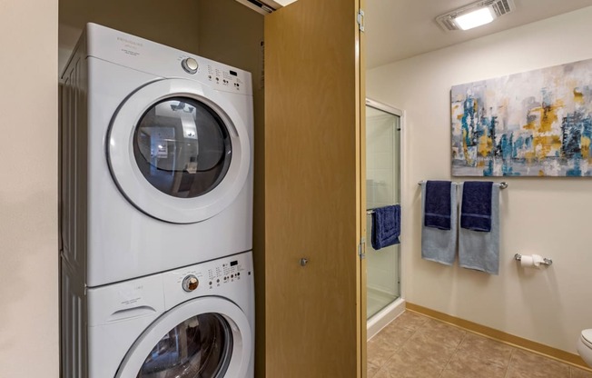 in-unit washer and dryer at The Enclave Luxury Apartments