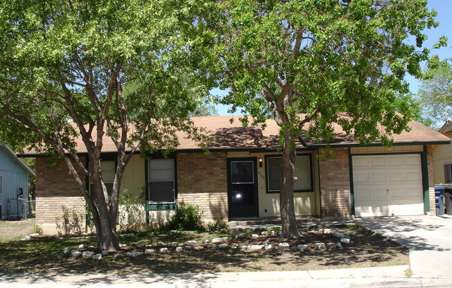 Peach Grove