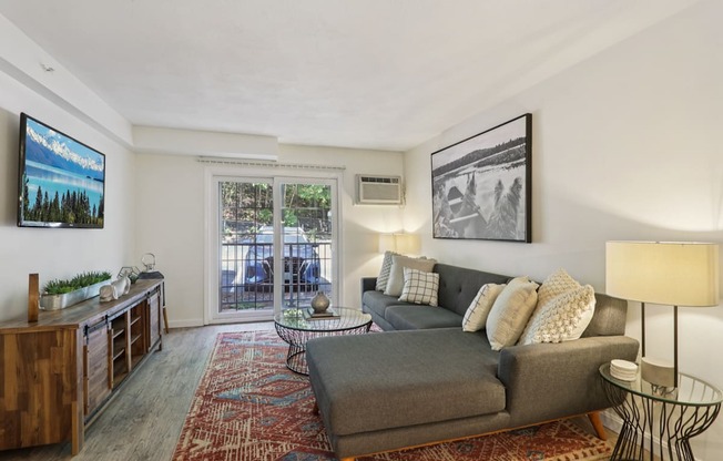 A living room with a grey couch, a television, and a rug.