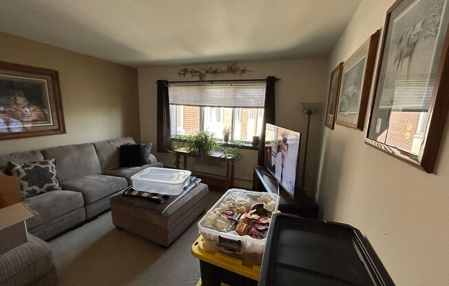 1 bed, 1 bath, $995, Unit 342