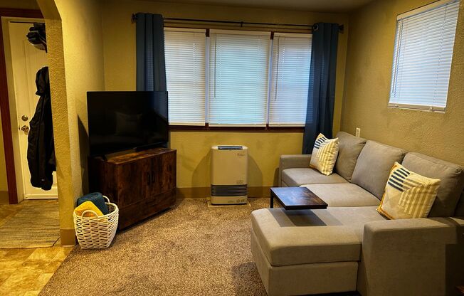 1 bed, 1 bath, 515 sqft, $1,190, Unit Unit 1