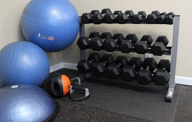 Fitness Center with Free Weights