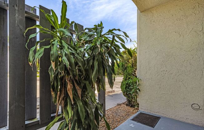 1 bed, 1 bath, 664 sqft, $1,260.42, Unit Unit 35