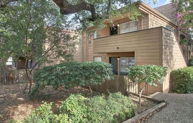 Alamo Heights Treehouse