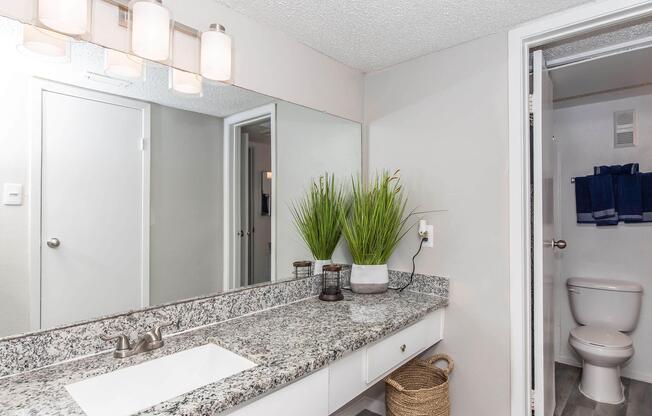 1 bed, 1 bath, 742 sqft, $795
