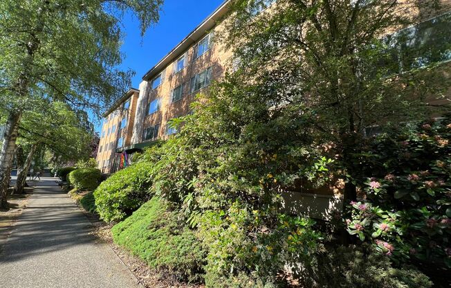 1 bed, 1 bath, 613 sqft, $1,475, Unit 108