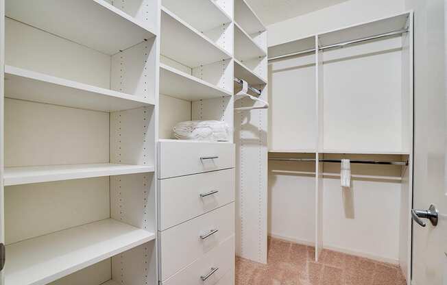 Empty closet with lots of dressers and shelves