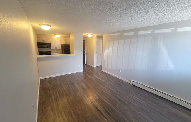 1 bed, 1 bath, 600 sqft, $1,135