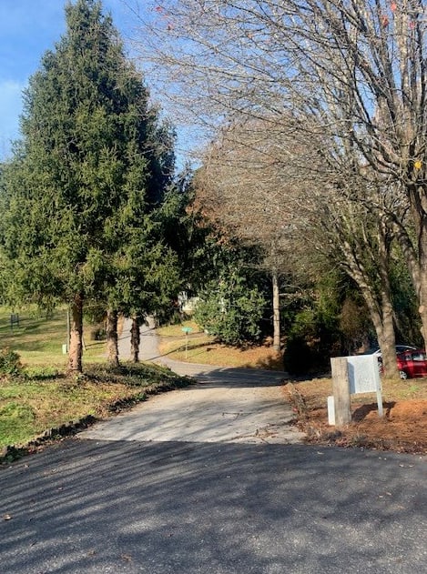 a road in a park with trees and a bench