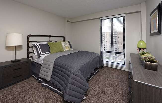 PLATINUM upgrade spacious bedroom with plush carpeting at Trillium Apartments, Fairfax, 22031