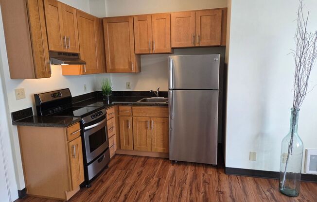 1 bed, 1 bath, 486 sqft, $1,675, Unit 1005