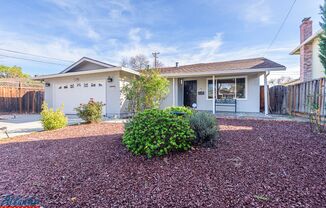 Lovely Home | Central A/C | Beautiful Yards