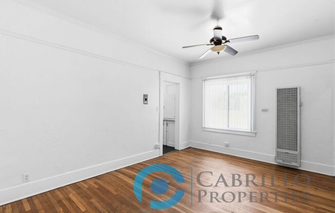 Studio, 1 bath, 341 sqft, $1,750, Unit 203