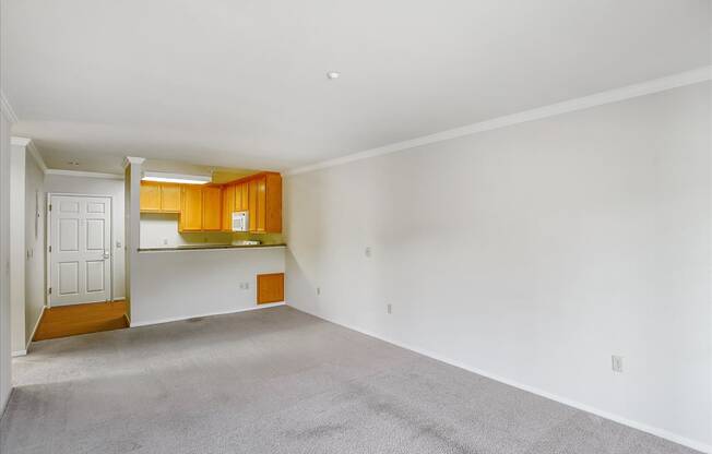 A room with a white wall and a carpeted floor.