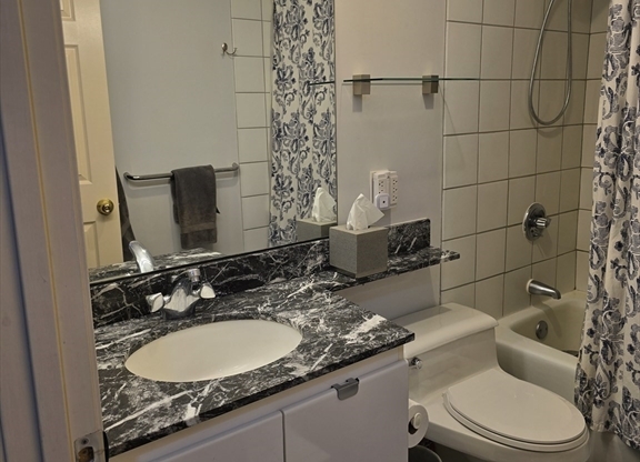 Studio, 1 bath, 537 sqft, $3,200, Unit 205