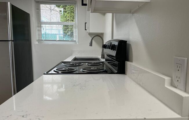 Studio, 1 bath, 282 sqft, $695, Unit Unit 020