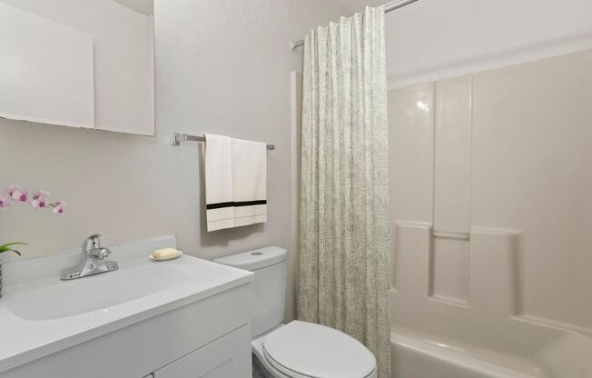 1 bed, 1 bath, 700 sqft, $1,000