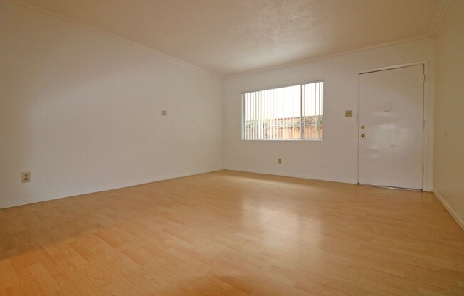 Studio, 1 bath, 550 sqft, $1,895, Unit D/ P#4