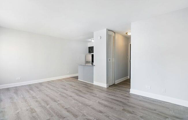 Studio, 1 bath, 336 sqft, $1,495, Unit 505