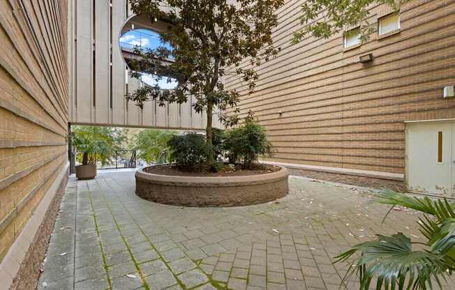 The courtyard of Ten05 West Trade Apartments, with cobblestone tiles and a large tree next to the walkway.