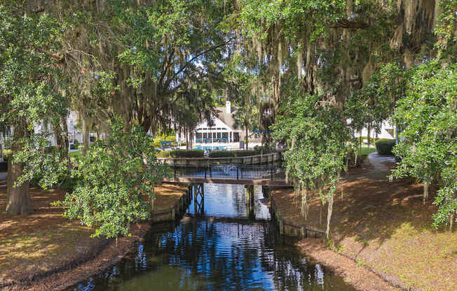 A house is surrounded by trees with Spanish moss hanging from the branches.
