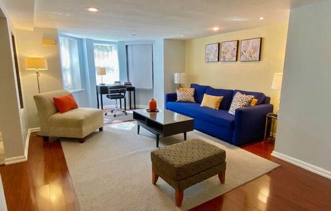 Incredible Find! Stylish Furnished 1 bed 1 bath Lower Level Apt in Logan with Patio
