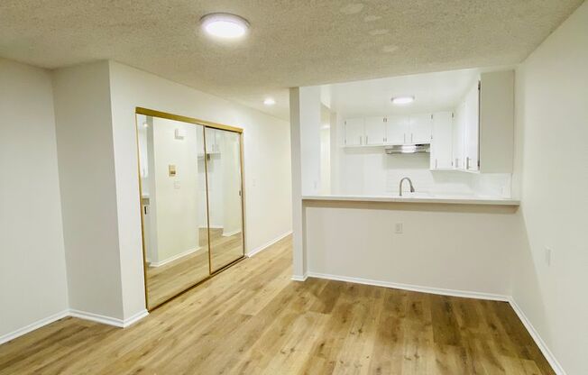 Studio, 1 bath, 465 sqft, $1,995, Unit 107