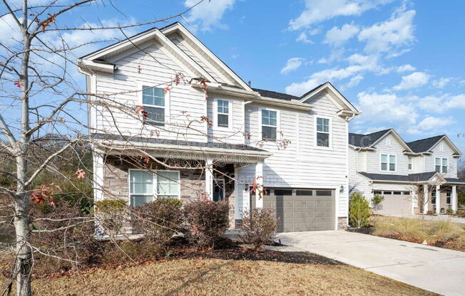 19016 YELLOW BIRCH DR