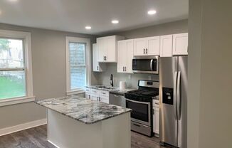 Modern & Updated!  3 Bedroom, 1 Bath Home - Polish Hill - Pittsburgh